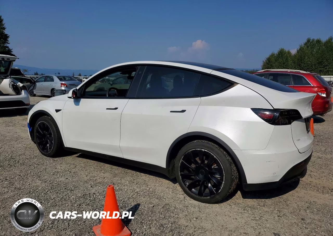 2020 Tesla Model Y VIN:5YJYGDEE9LF029691 - 2