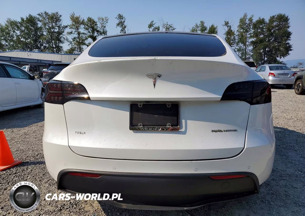 2020 Tesla Model Y VIN:5YJYGDEE9LF029691 - 6