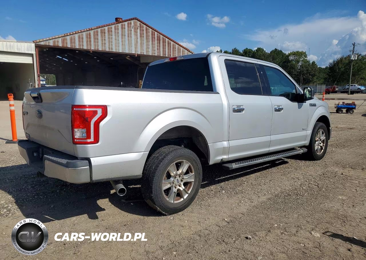 2015 Ford F150 Supercrew VIN:1FTEW1CP8FKD88496 - 3