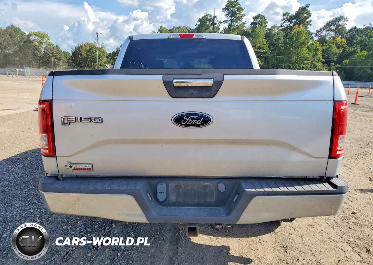 2015 Ford F150 Supercrew VIN:1FTEW1CP8FKD88496 - 6