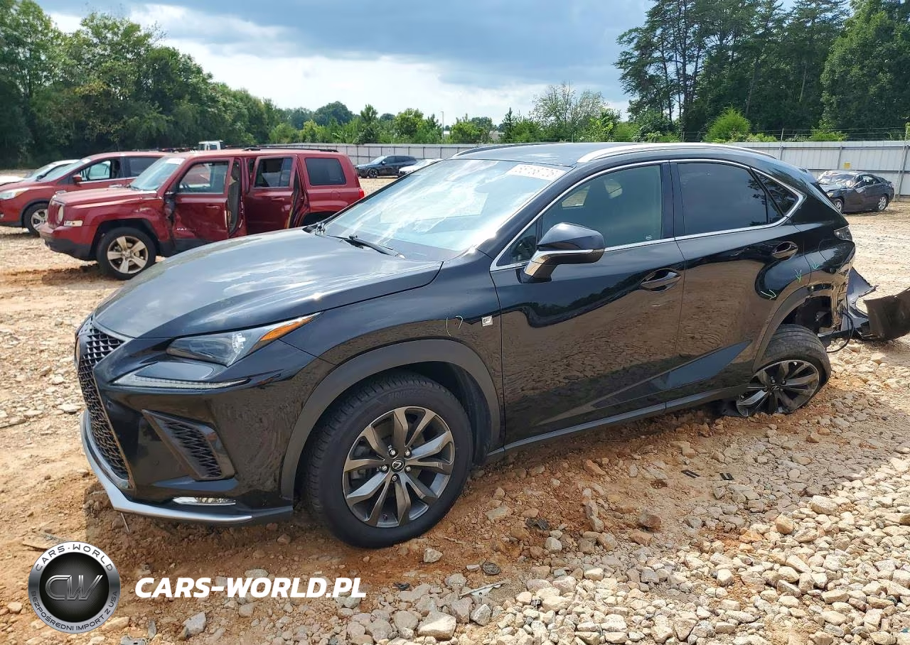 2019 Lexus Nx 300 F Sport – zdjęcie 1 z 14