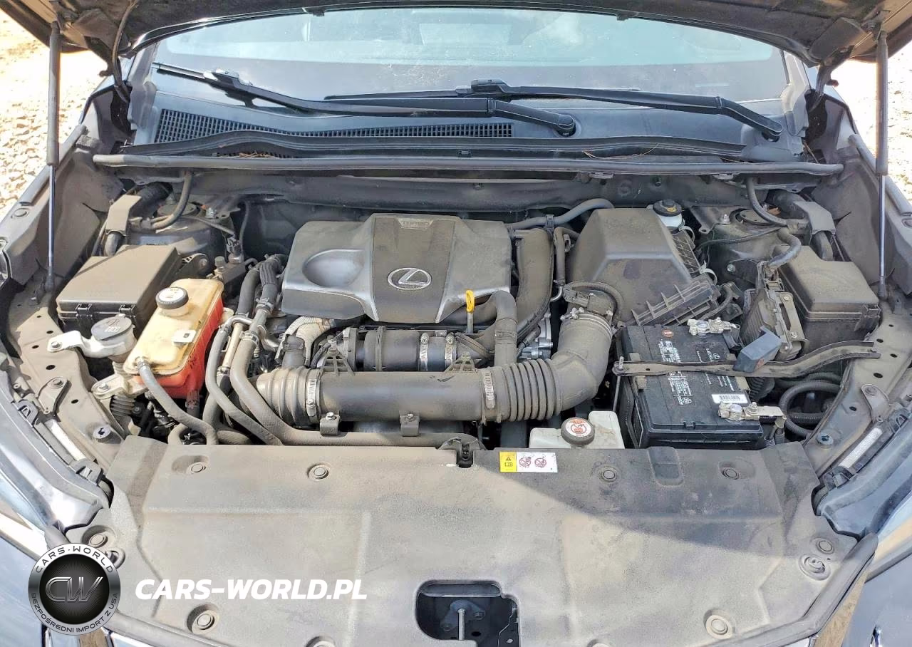2019 Lexus Nx 300 F Sport VIN:JTJYARBZ7K2122598 - 12