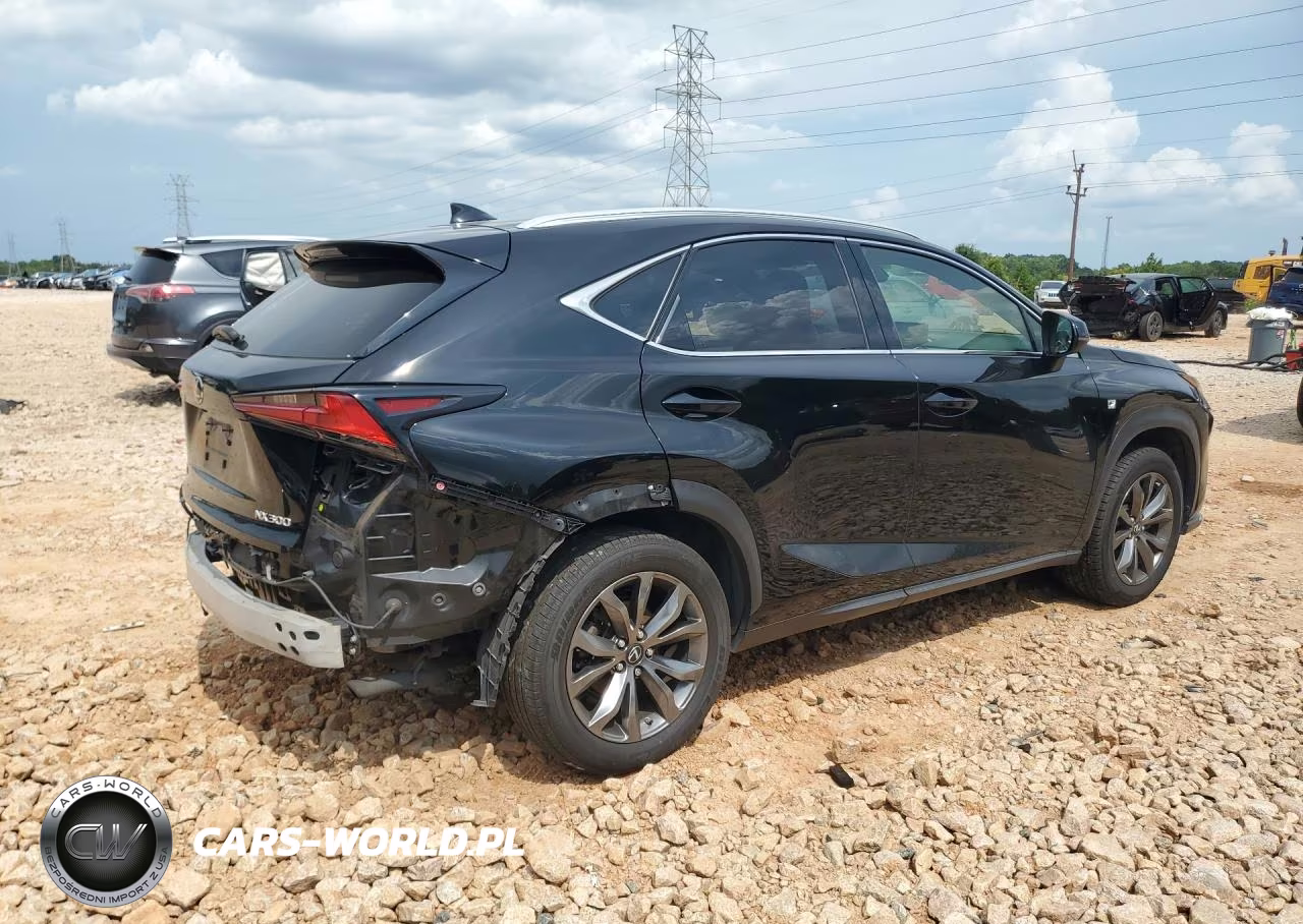 2019 Lexus Nx 300 F Sport VIN:JTJYARBZ7K2122598 - 3