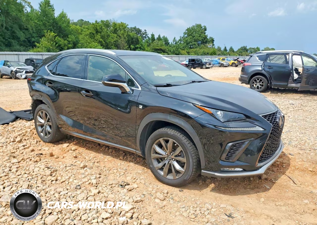 2019 Lexus Nx 300 F Sport VIN:JTJYARBZ7K2122598 - 4