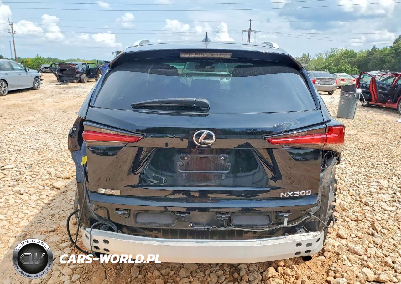 2019 Lexus Nx 300 F Sport VIN:JTJYARBZ7K2122598 - 6