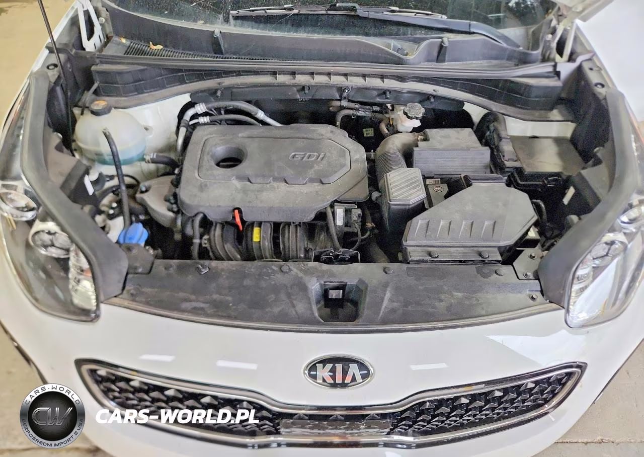 2018 Kia Sportage Lx VIN:KNDPMCAC7J7328392 - 12