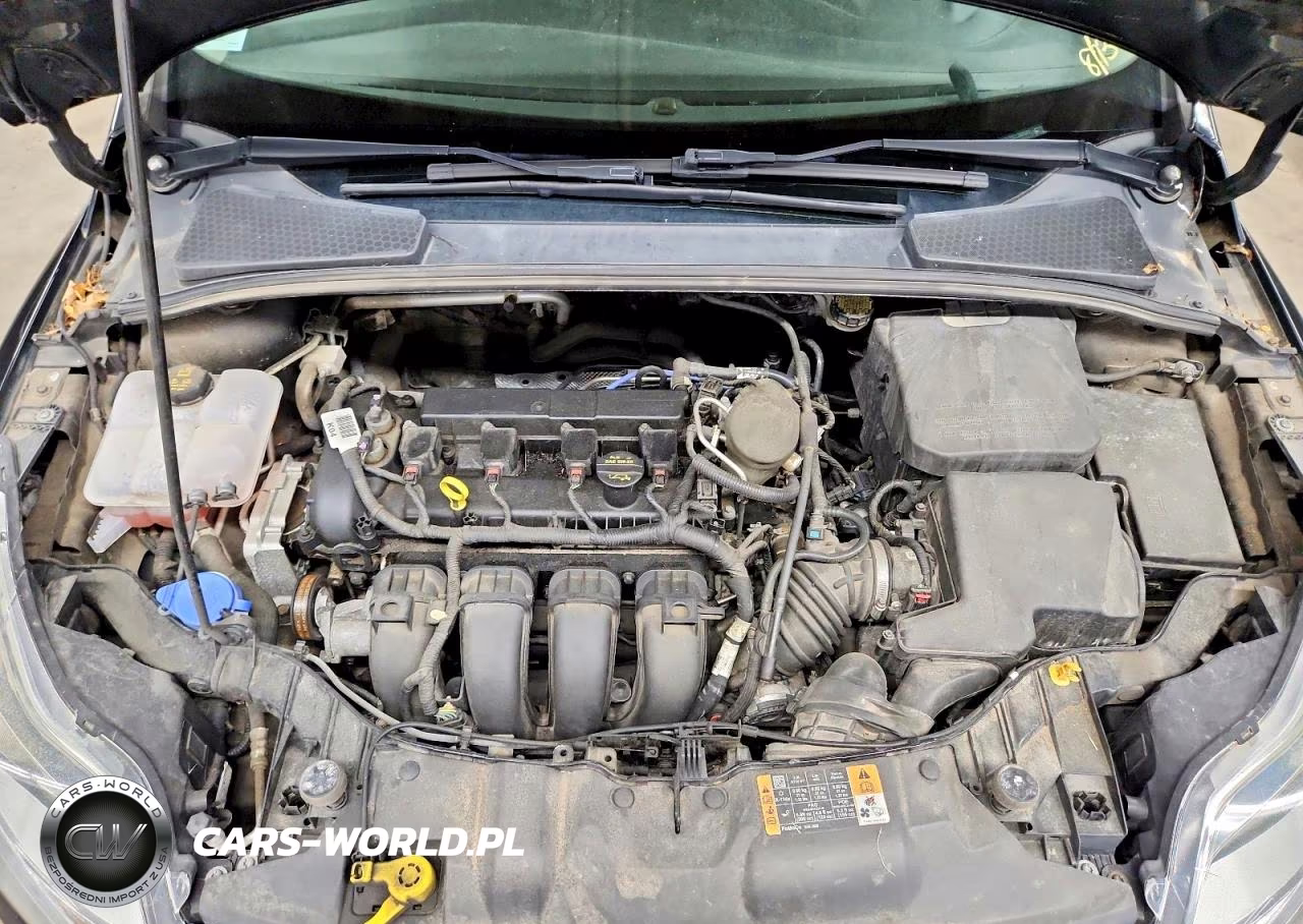2014 Ford Focus Se VIN:1FADP3K25EL360681 - 11
