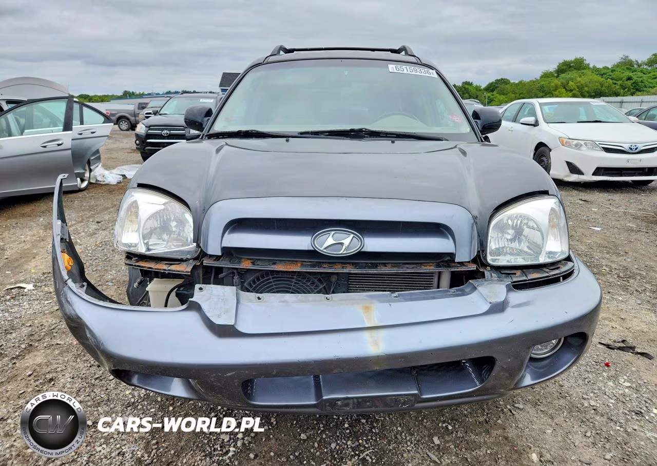 2006 Hyundai Santa Fe Gls VIN:KM8SC13D06U091675 - 5