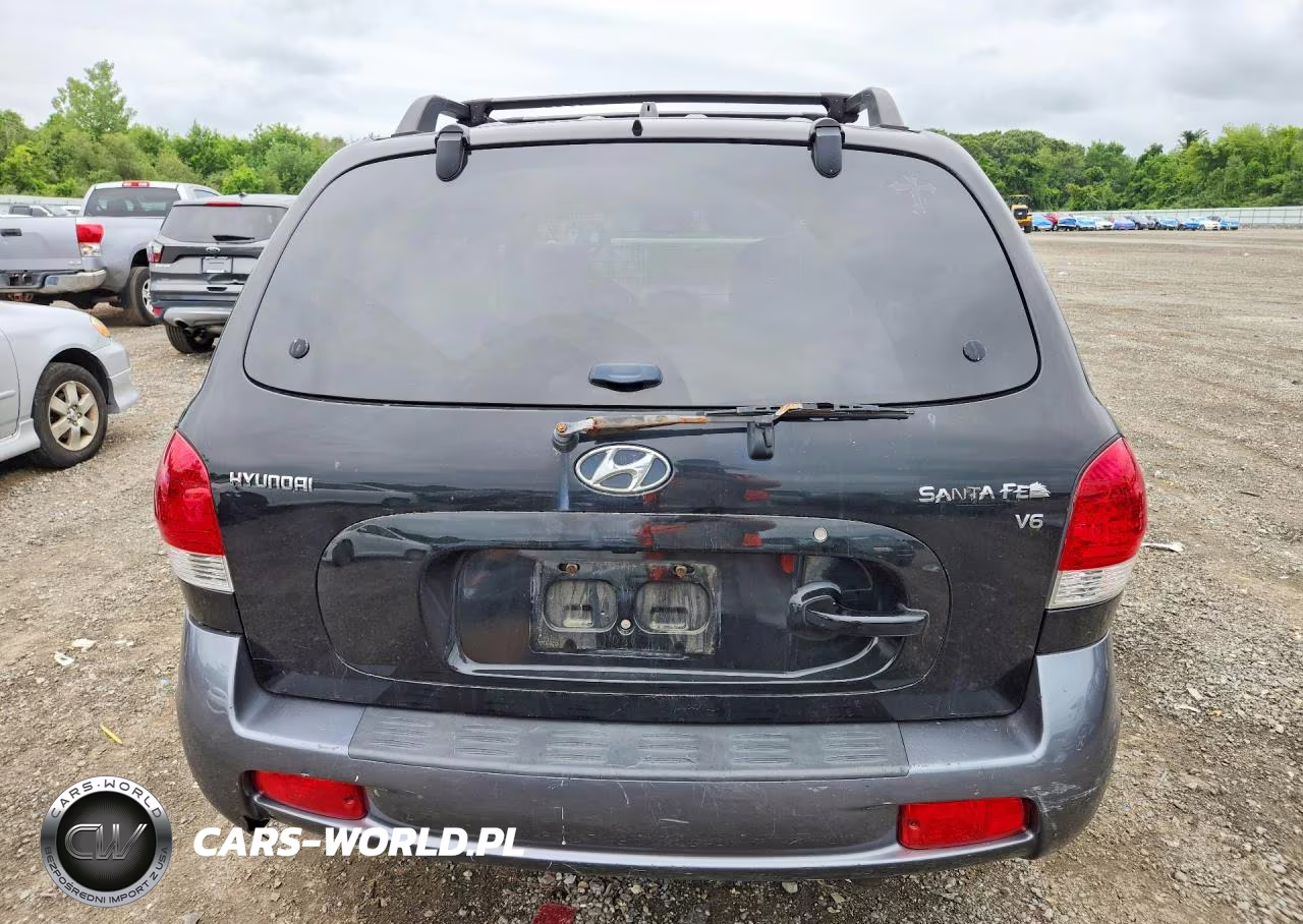 2006 Hyundai Santa Fe Gls VIN:KM8SC13D06U091675 - 6