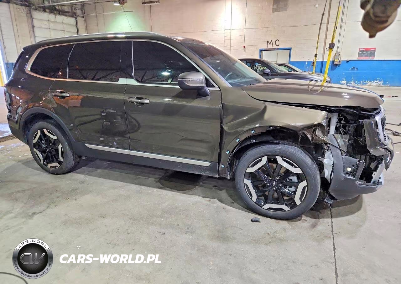 2025 Kia Telluride S VIN:5XYP64GC8SG698486 - 4