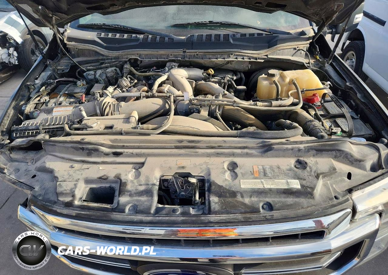 2020 Ford F250 Super Duty VIN:1FT8W2BT5LEC69025 - 11