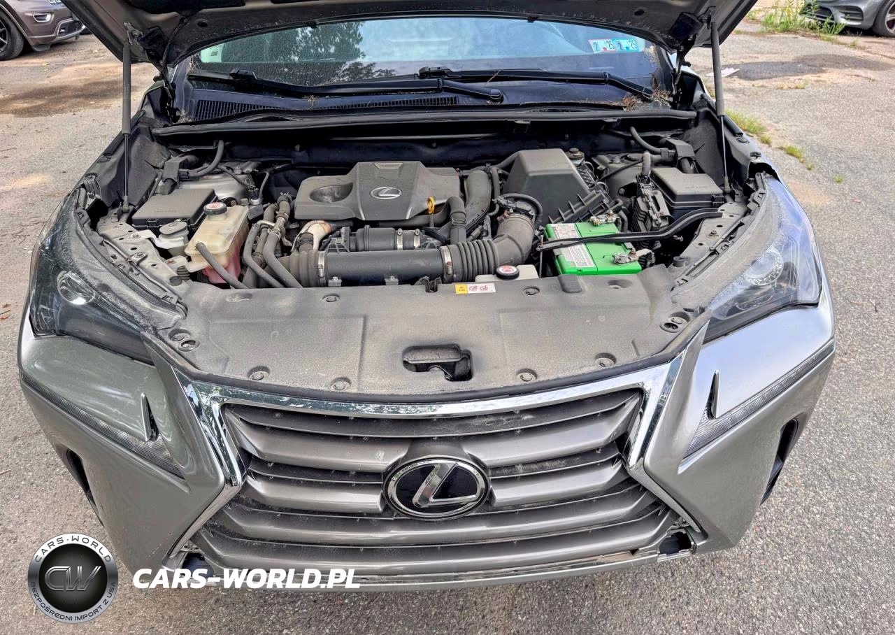 2016 Lexus Nx 200T Base VIN:JTJBARBZ5G2095978 - 7
