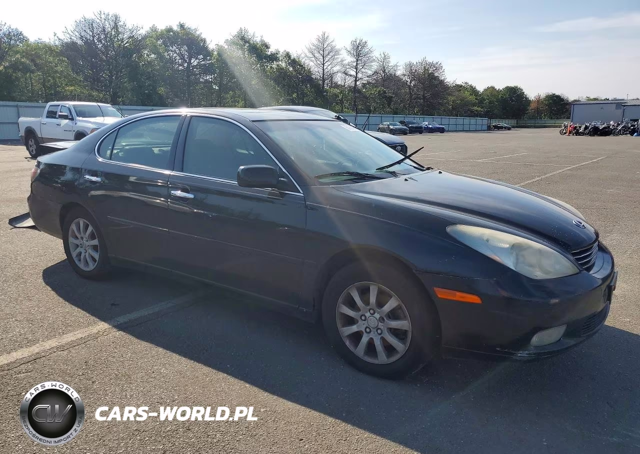2004 Lexus Es 330 VIN:JTHBA30G845046171 - 4