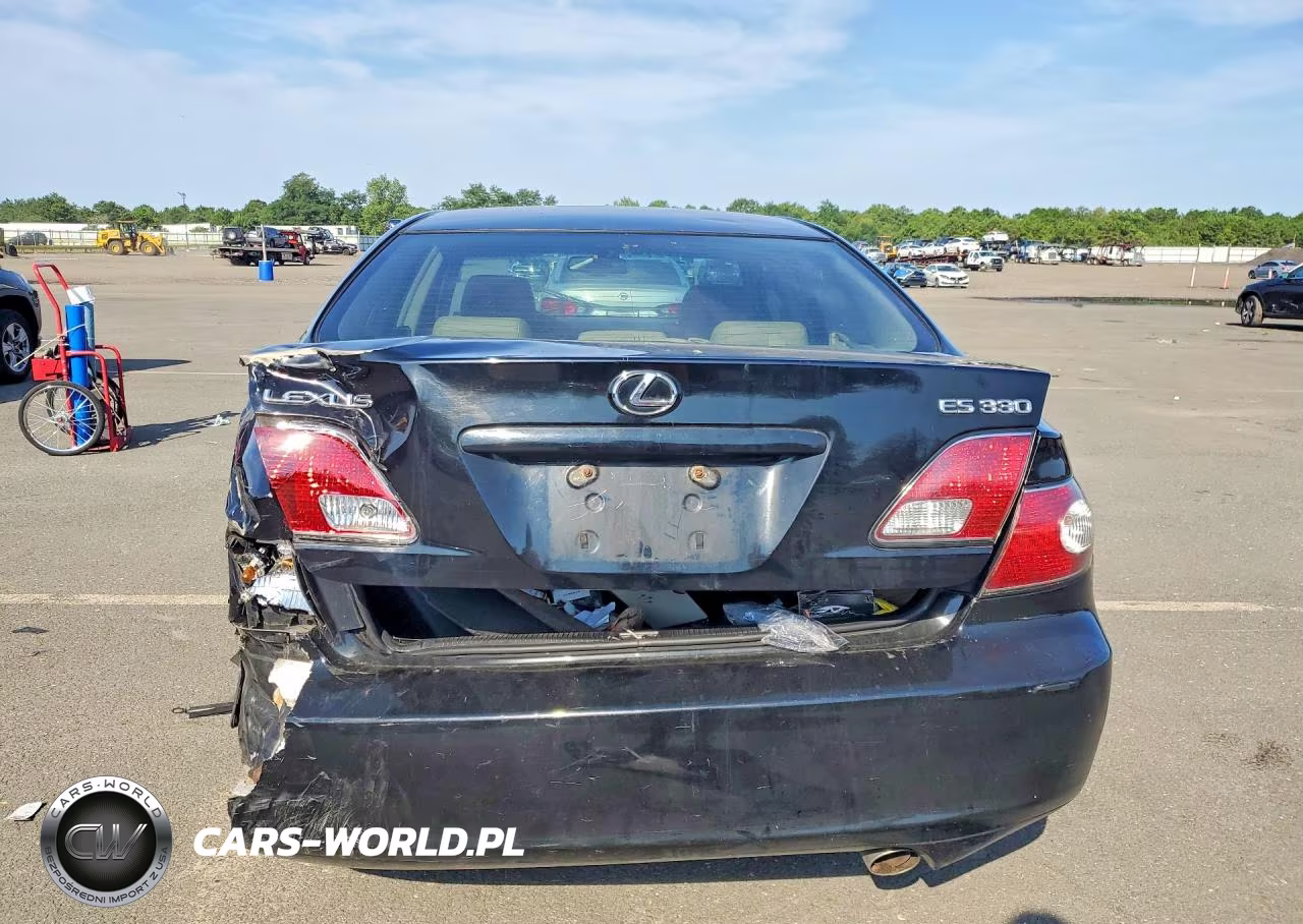 2004 Lexus Es 330 VIN:JTHBA30G845046171 - 6