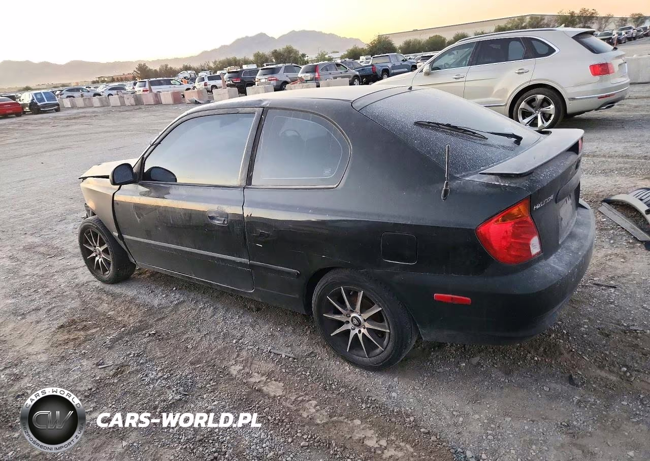 2003 Hyundai Accent Gl VIN:KMHCG35C43U256681 - 2