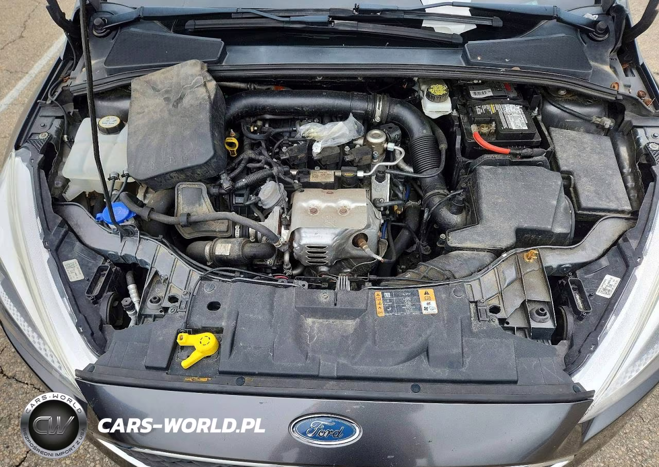 2018 Ford Focus Se VIN:1FADP3FEXJL300927 - 11