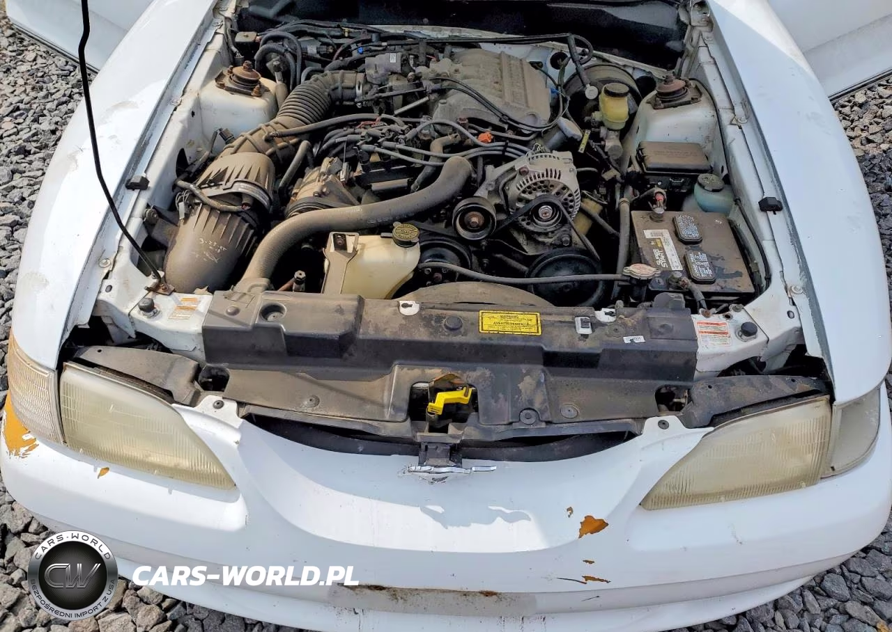 1998 Ford Mustang VIN:1FAFP4041WF186692 - 11