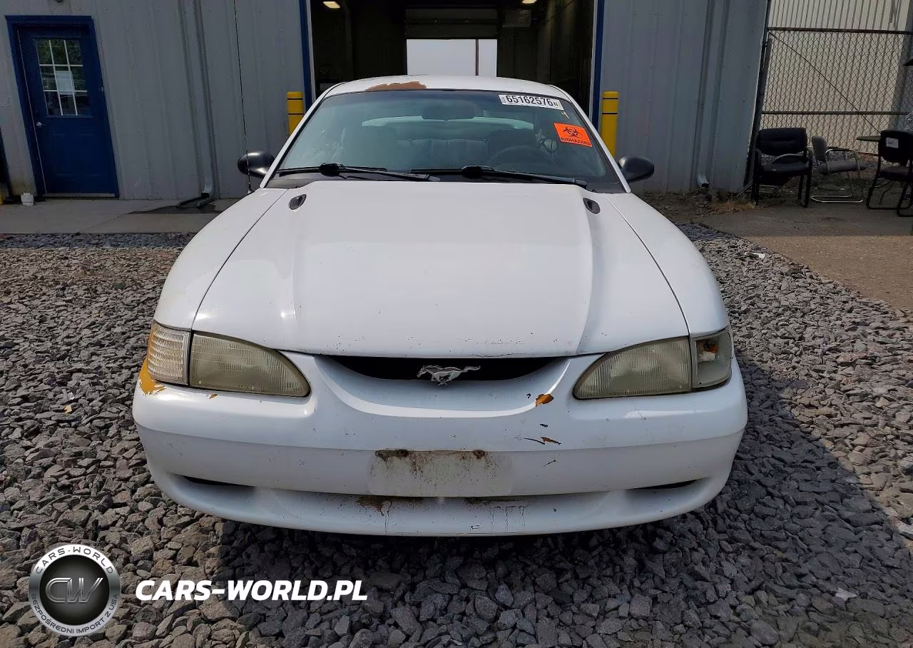 1998 Ford Mustang VIN:1FAFP4041WF186692 - 5