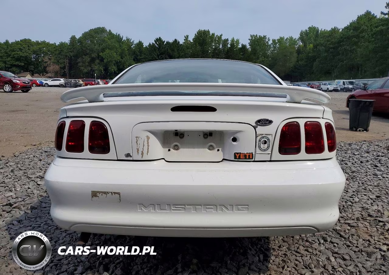 1998 Ford Mustang VIN:1FAFP4041WF186692 - 6