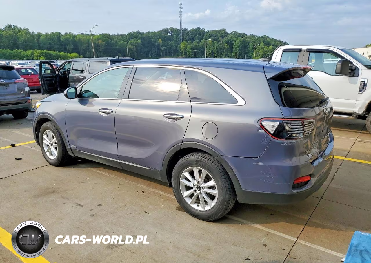 2020 Kia Sorento Lx VIN:5XYPGDA3XLG655310 - 2