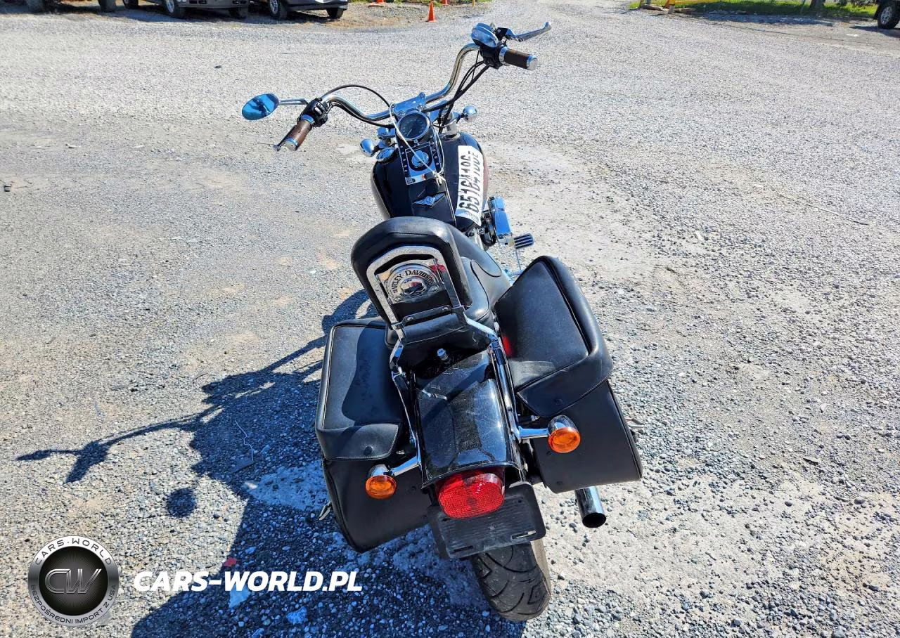 2002 Harley-Davidson Fxst VIN:1HD1BHY132Y054597 - 4