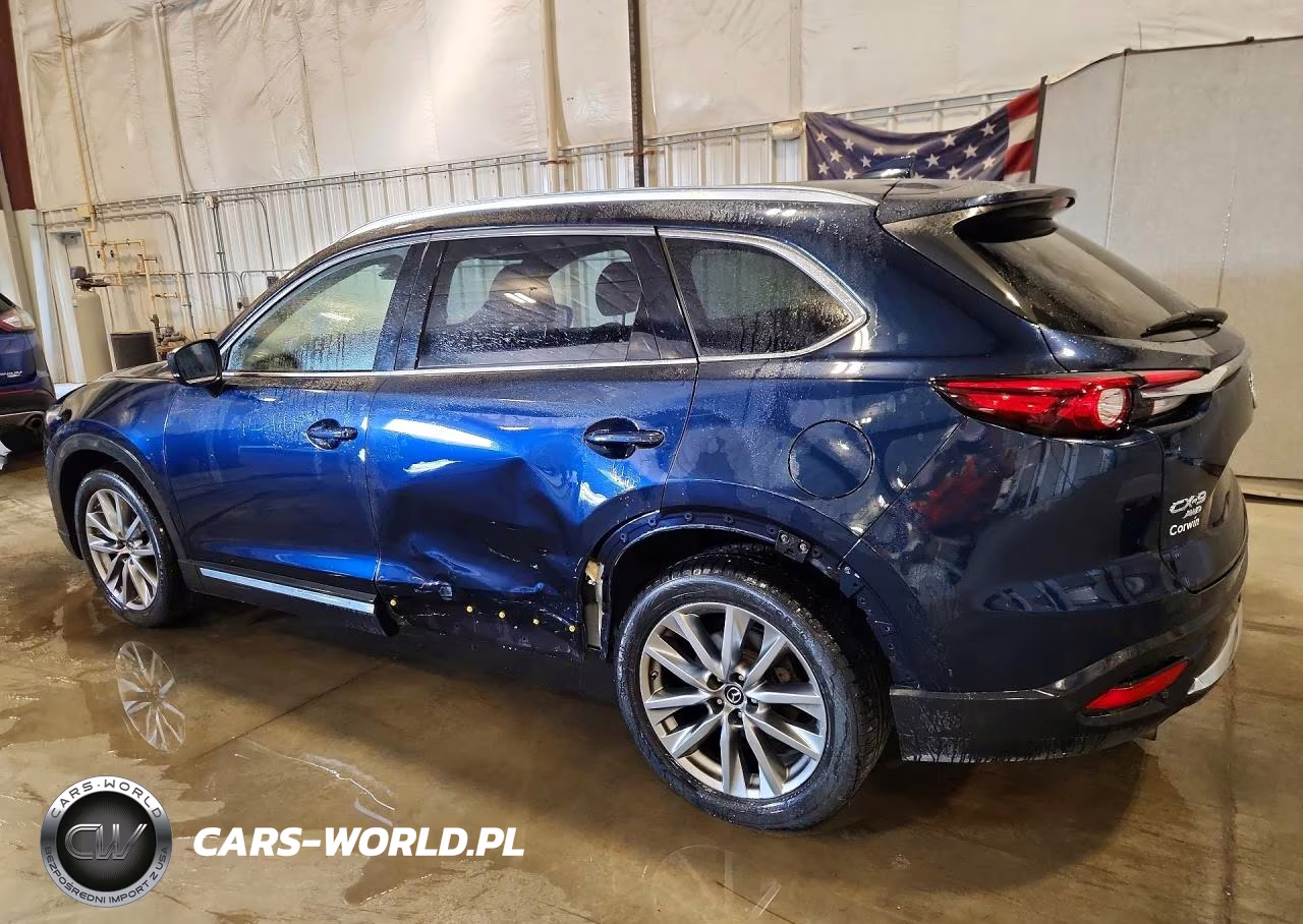 2019 Mazda Cx-9 Grand Touring VIN:JM3TCBDY7K0336609 - 2
