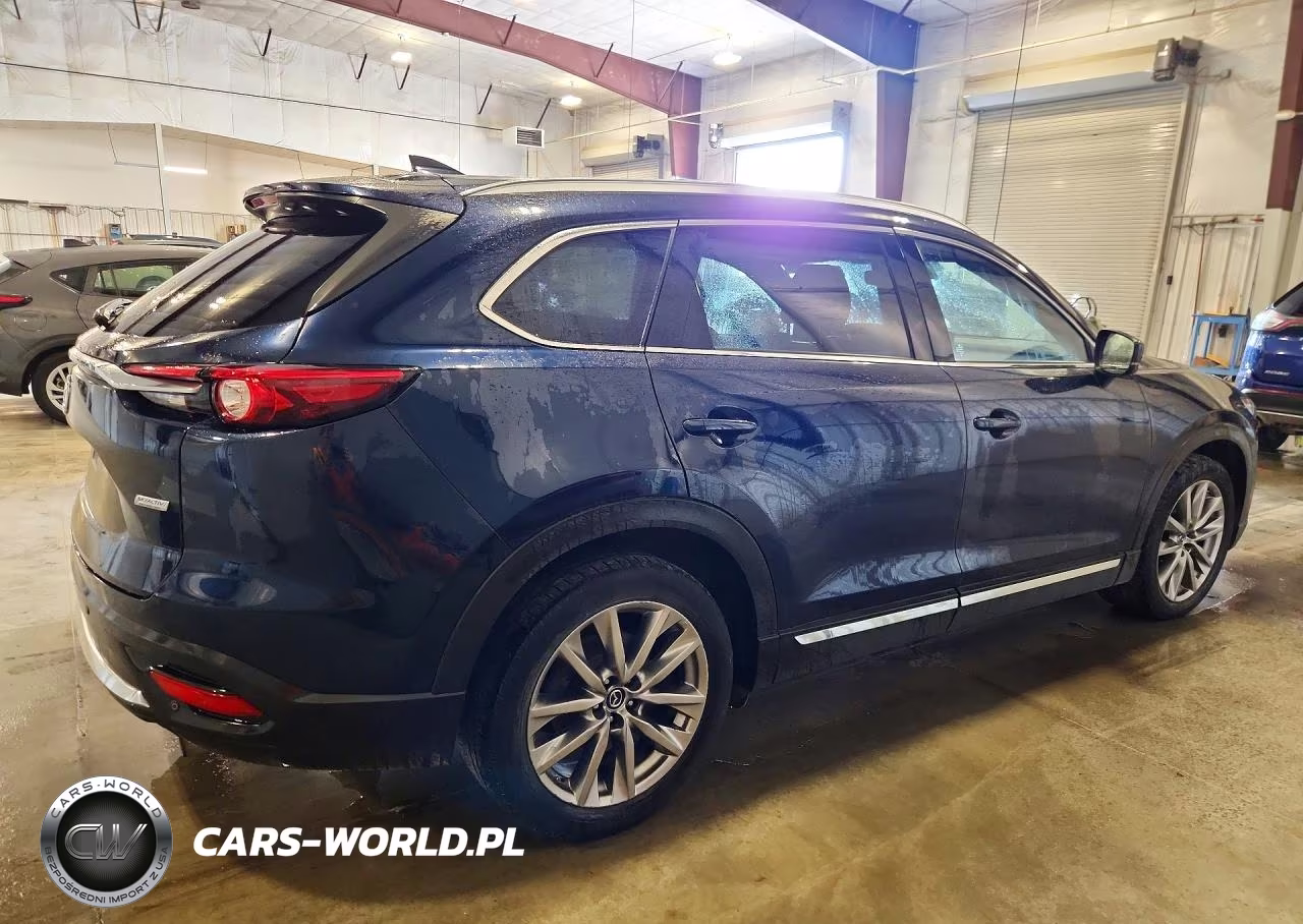 2019 Mazda Cx-9 Grand Touring VIN:JM3TCBDY7K0336609 - 3