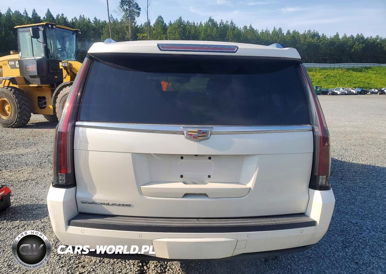 2015 Cadillac Escalade Esv Luxury VIN:1GYS3SKJXFR673801 - 6
