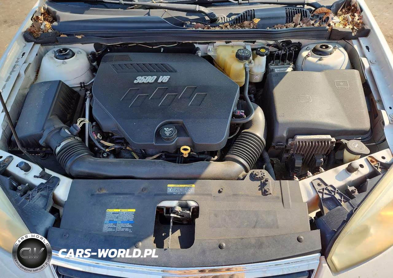 2008 Chevrolet Malibu Lt VIN:1G1ZT58N98F105133 - 11