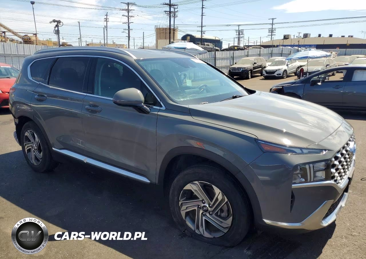 2021 Hyundai Santa Fe Sel VIN:5NMS24AJ9MH326189 - 4