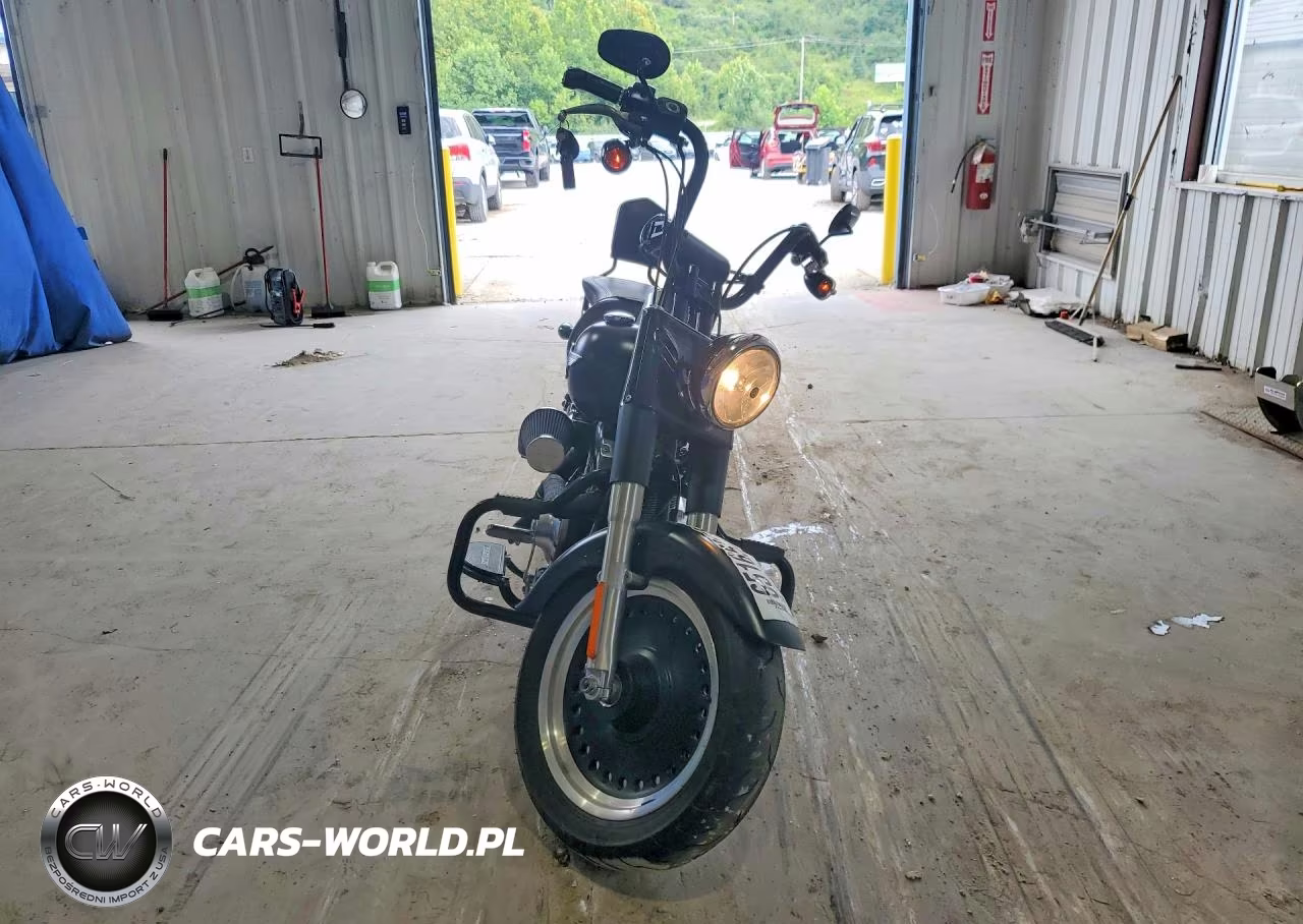 2010 Harley-Davidson Flstfb VIN:1HD1JN515AB014710 - 2