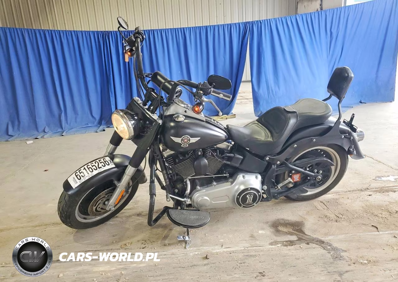 2010 Harley-Davidson Flstfb VIN:1HD1JN515AB014710 - 3