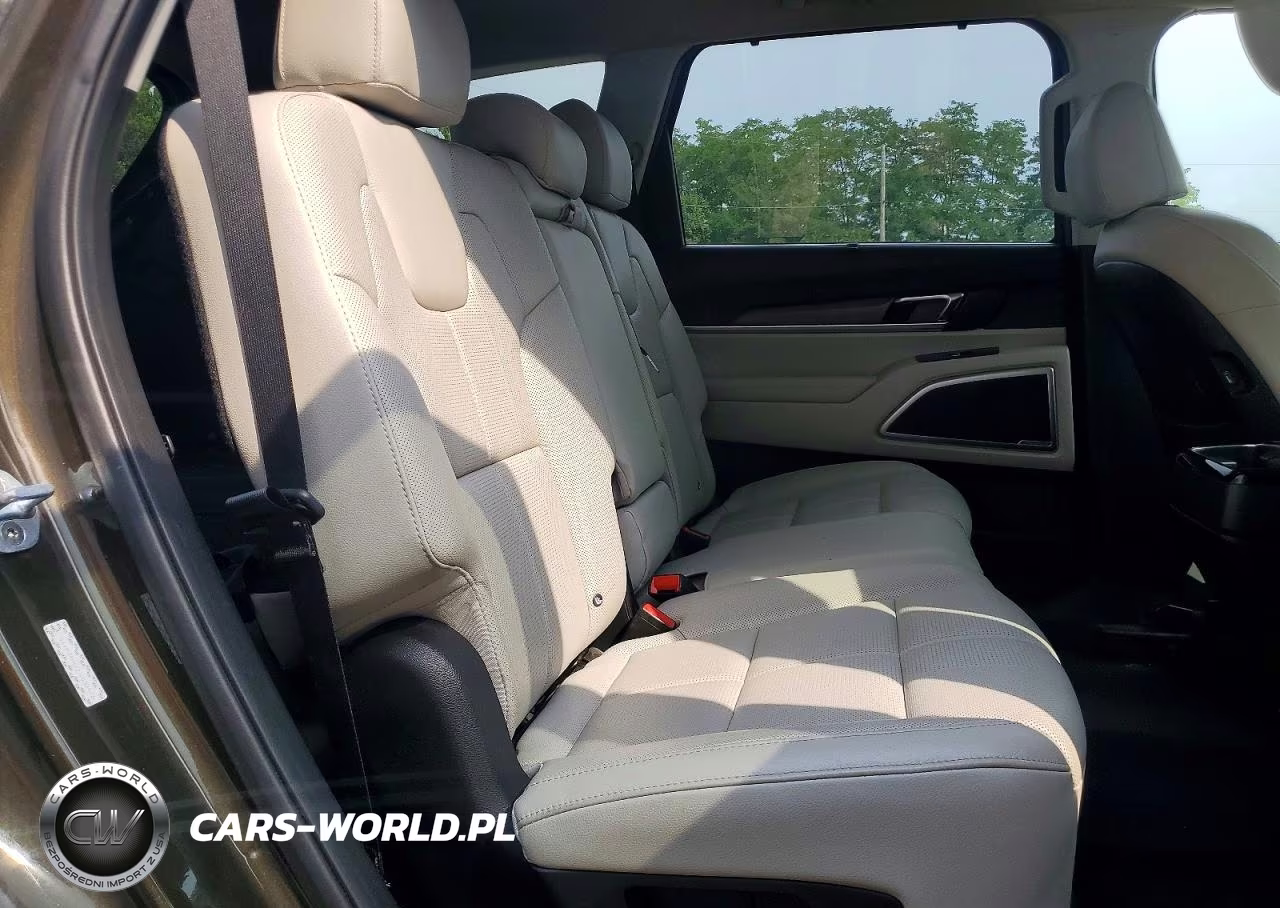 2020 Kia Telluride Ex VIN:5XYP34HC6LG032946 - 11