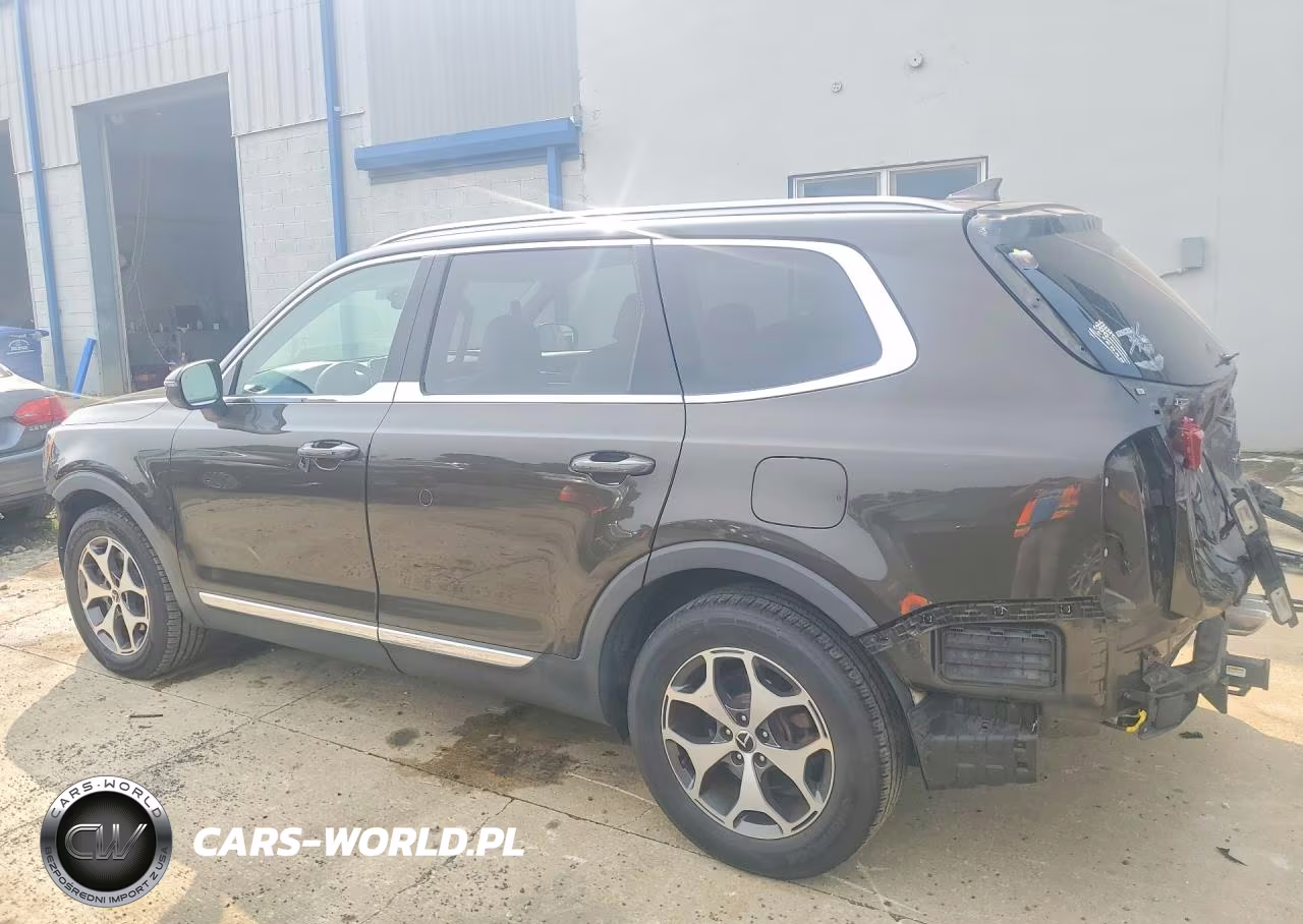2020 Kia Telluride Ex VIN:5XYP34HC6LG032946 - 2