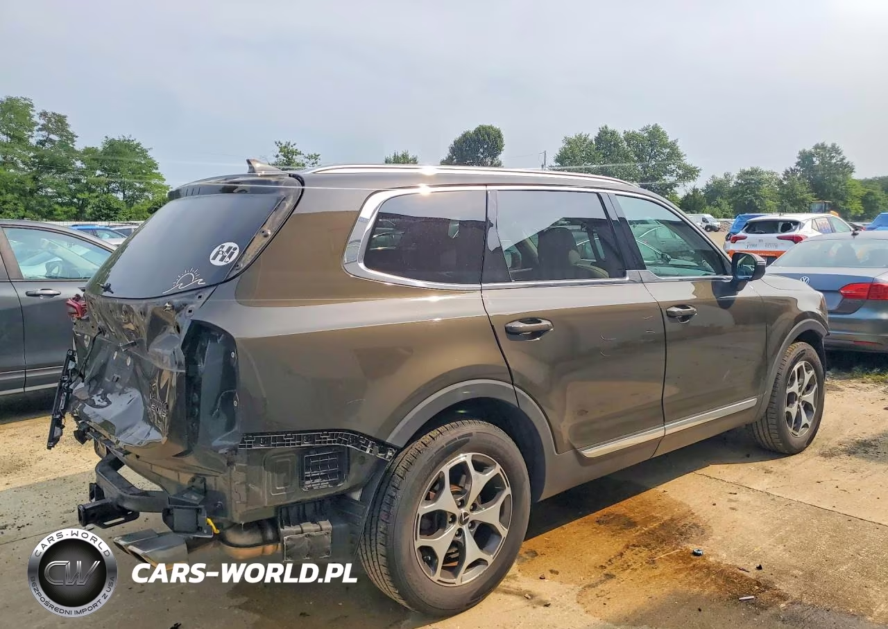 2020 Kia Telluride Ex VIN:5XYP34HC6LG032946 - 3