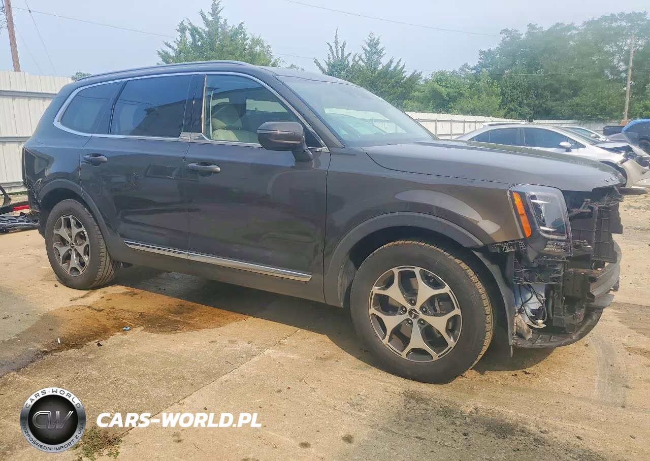 2020 Kia Telluride Ex VIN:5XYP34HC6LG032946 - 4