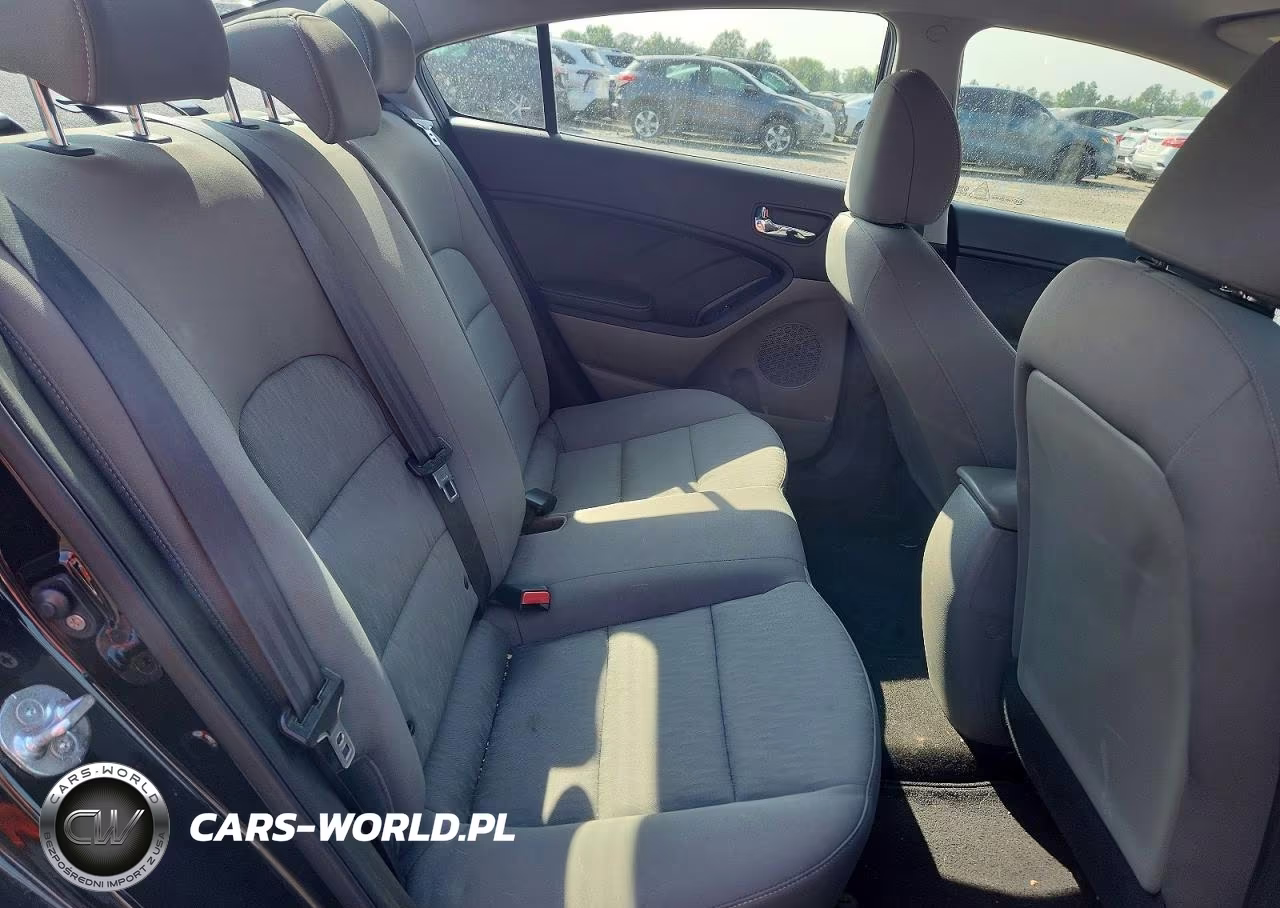 2016 Kia Forte Lx VIN:KNAFK4A69G5526670 - 10