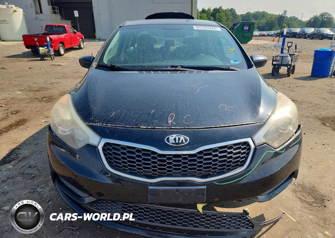 2016 Kia Forte Lx VIN:KNAFK4A69G5526670 - 5