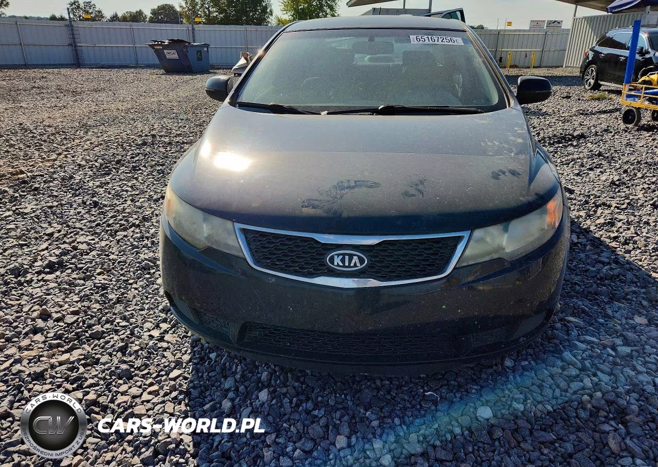 2013 Kia Forte Ex VIN:KNAFU4A23D5720551 - 5