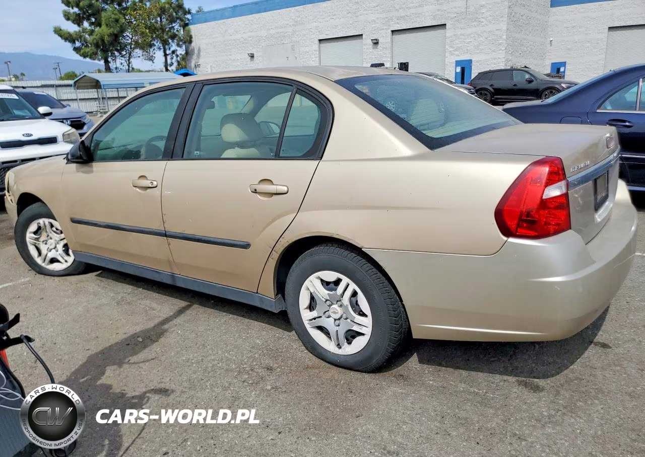 2004 Chevrolet Malibu VIN:1G1ZS52F14F143339 - 2