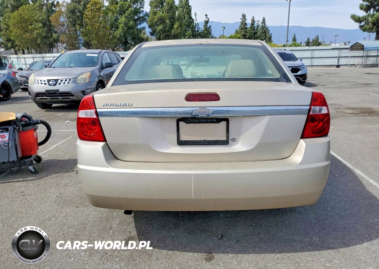 2004 Chevrolet Malibu VIN:1G1ZS52F14F143339 - 6