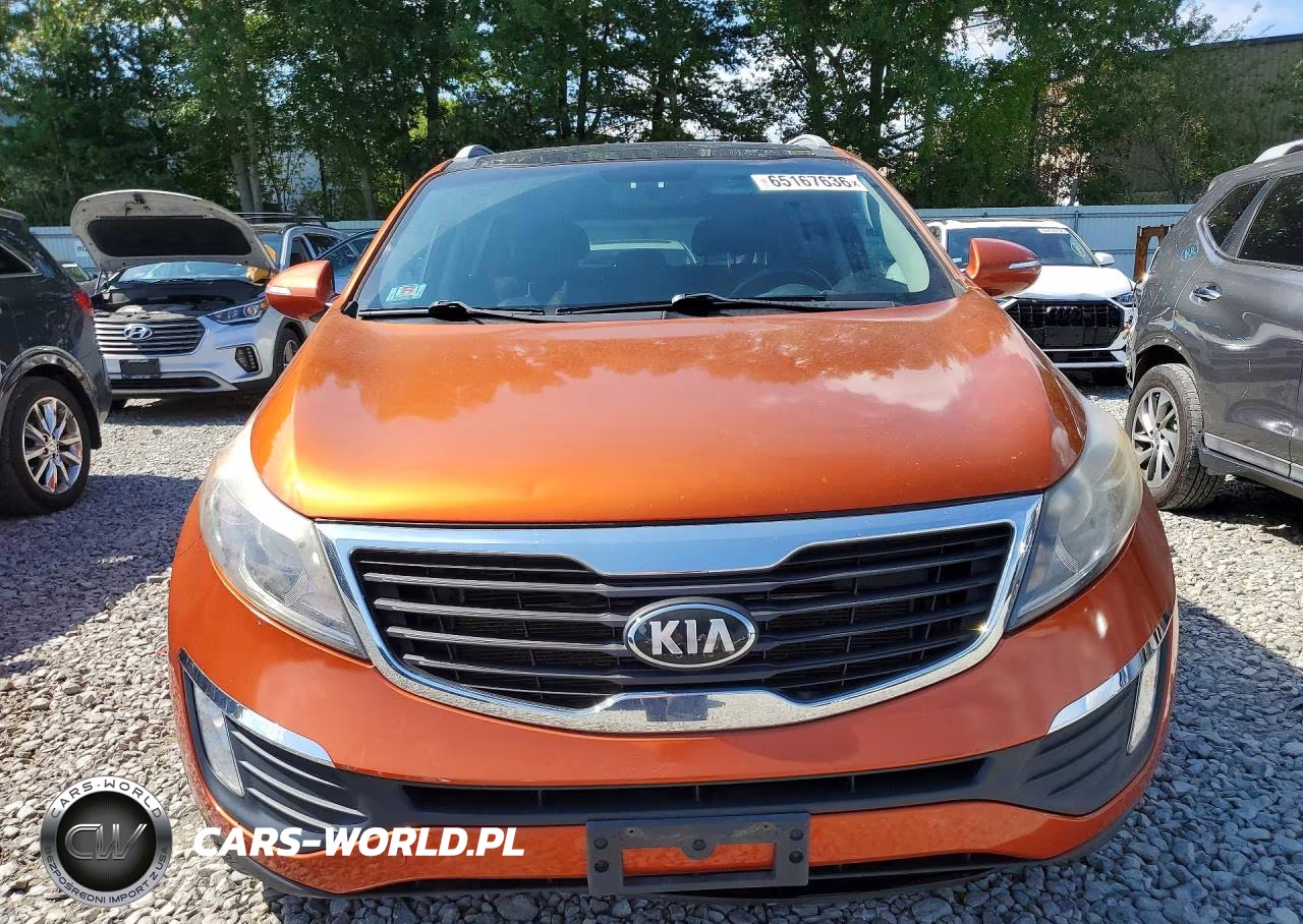 2013 Kia Sportage Ex VIN:KNDPCCA24D7363356 - 5