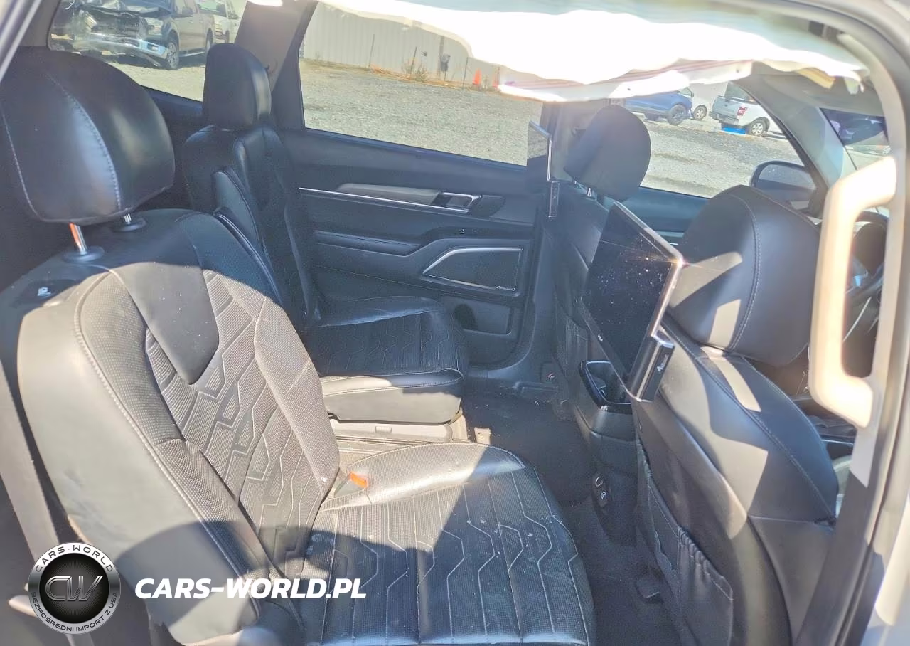 2022 Kia Telluride Sx VIN:5XYP5DHC6NG317272 - 11