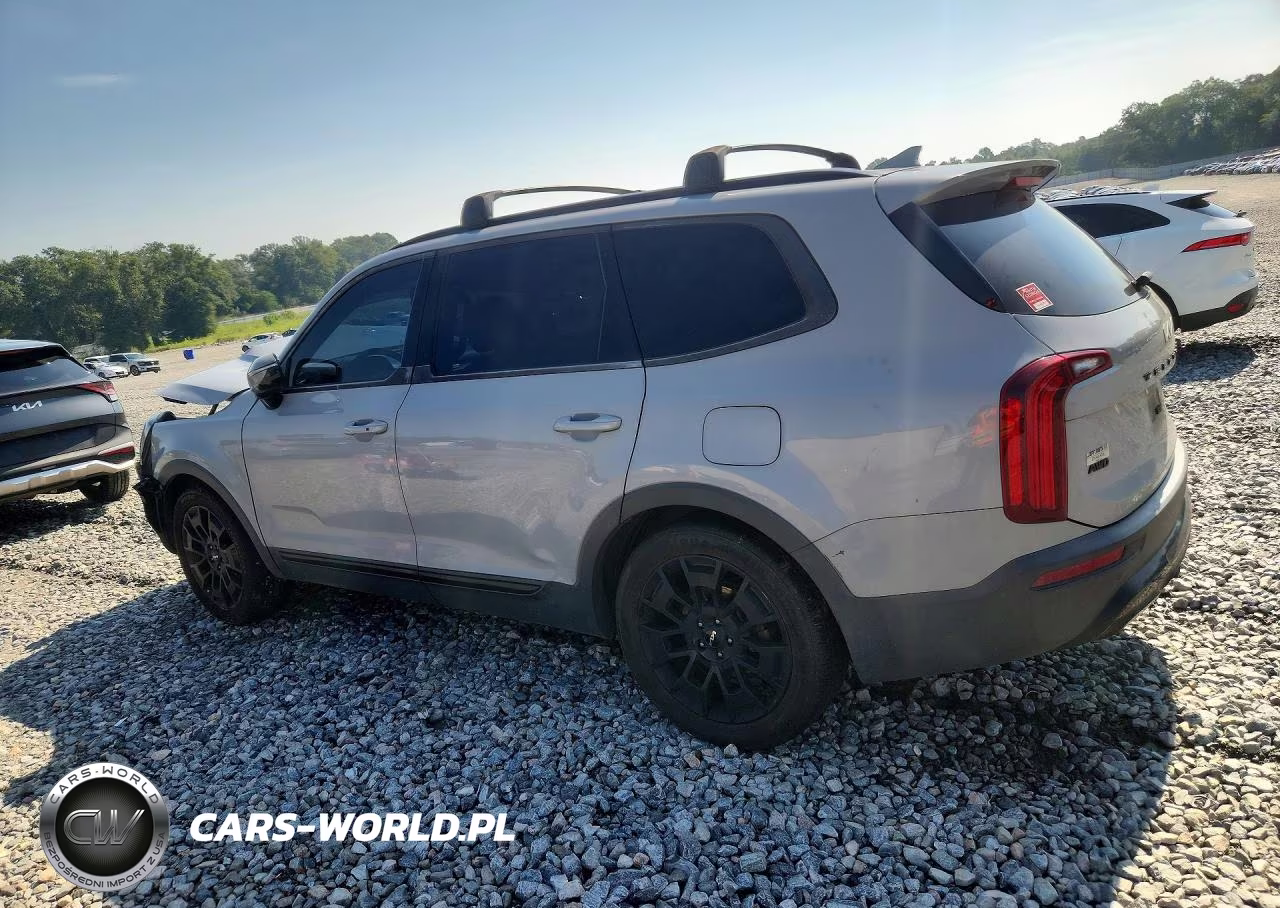2022 Kia Telluride Sx VIN:5XYP5DHC6NG317272 - 2