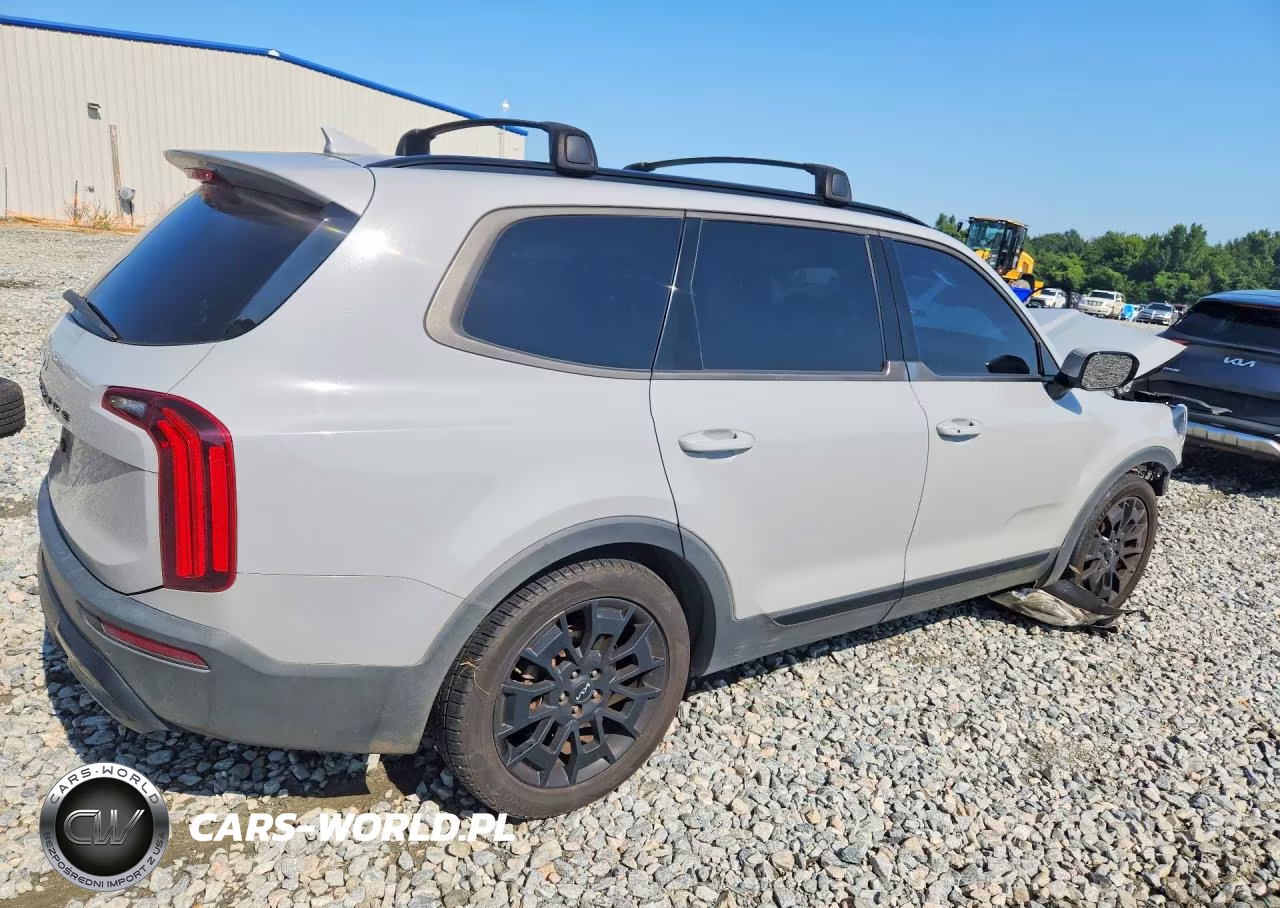 2022 Kia Telluride Sx VIN:5XYP5DHC6NG317272 - 3