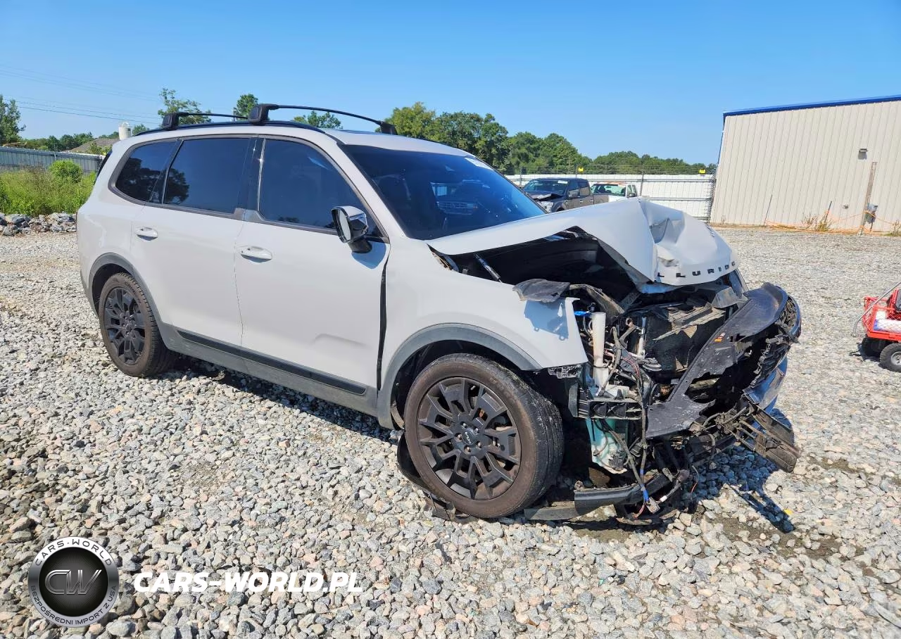 2022 Kia Telluride Sx VIN:5XYP5DHC6NG317272 - 4