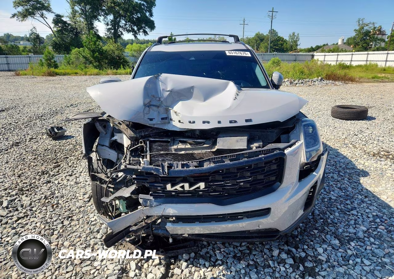 2022 Kia Telluride Sx VIN:5XYP5DHC6NG317272 - 5