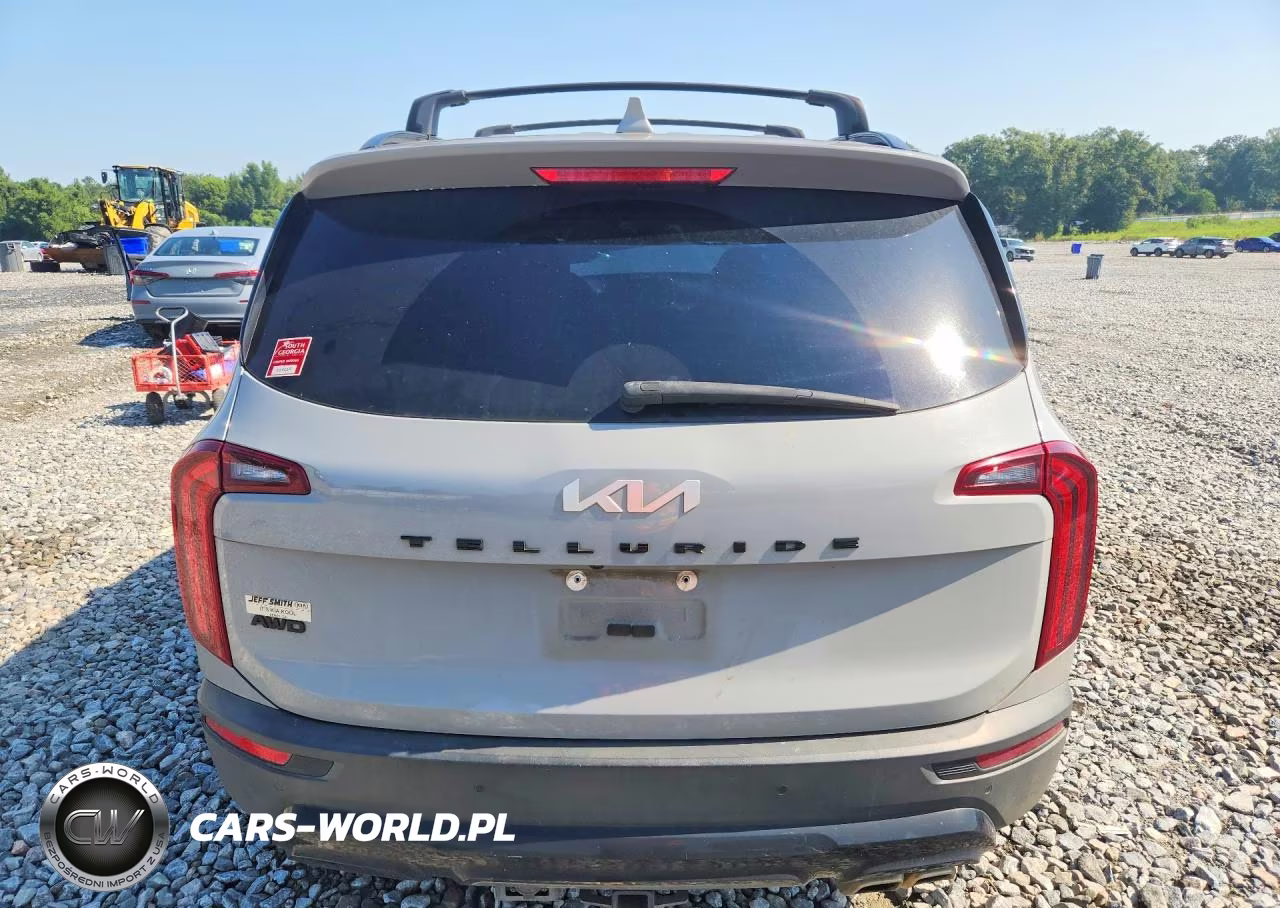 2022 Kia Telluride Sx VIN:5XYP5DHC6NG317272 - 6