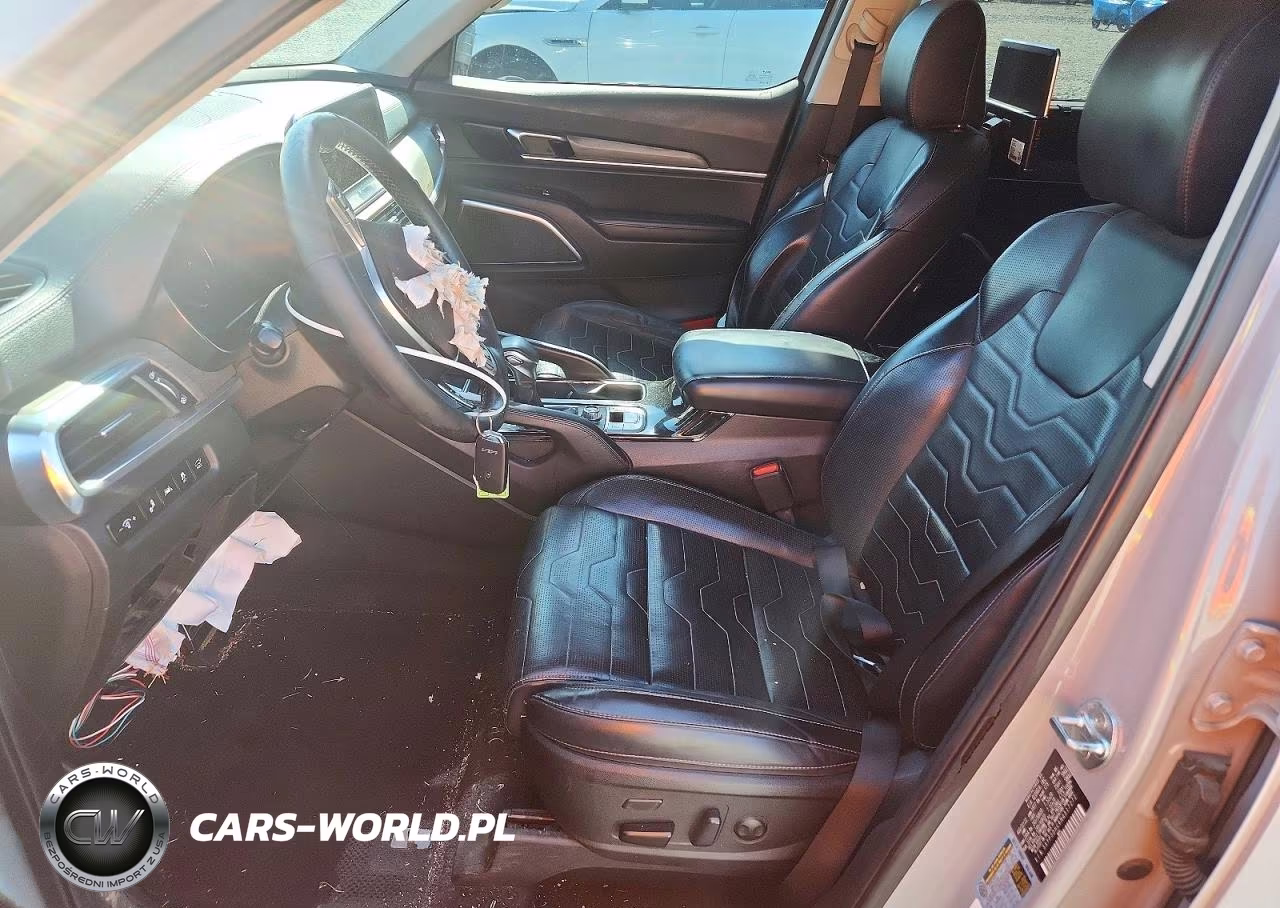 2022 Kia Telluride Sx VIN:5XYP5DHC6NG317272 - 7