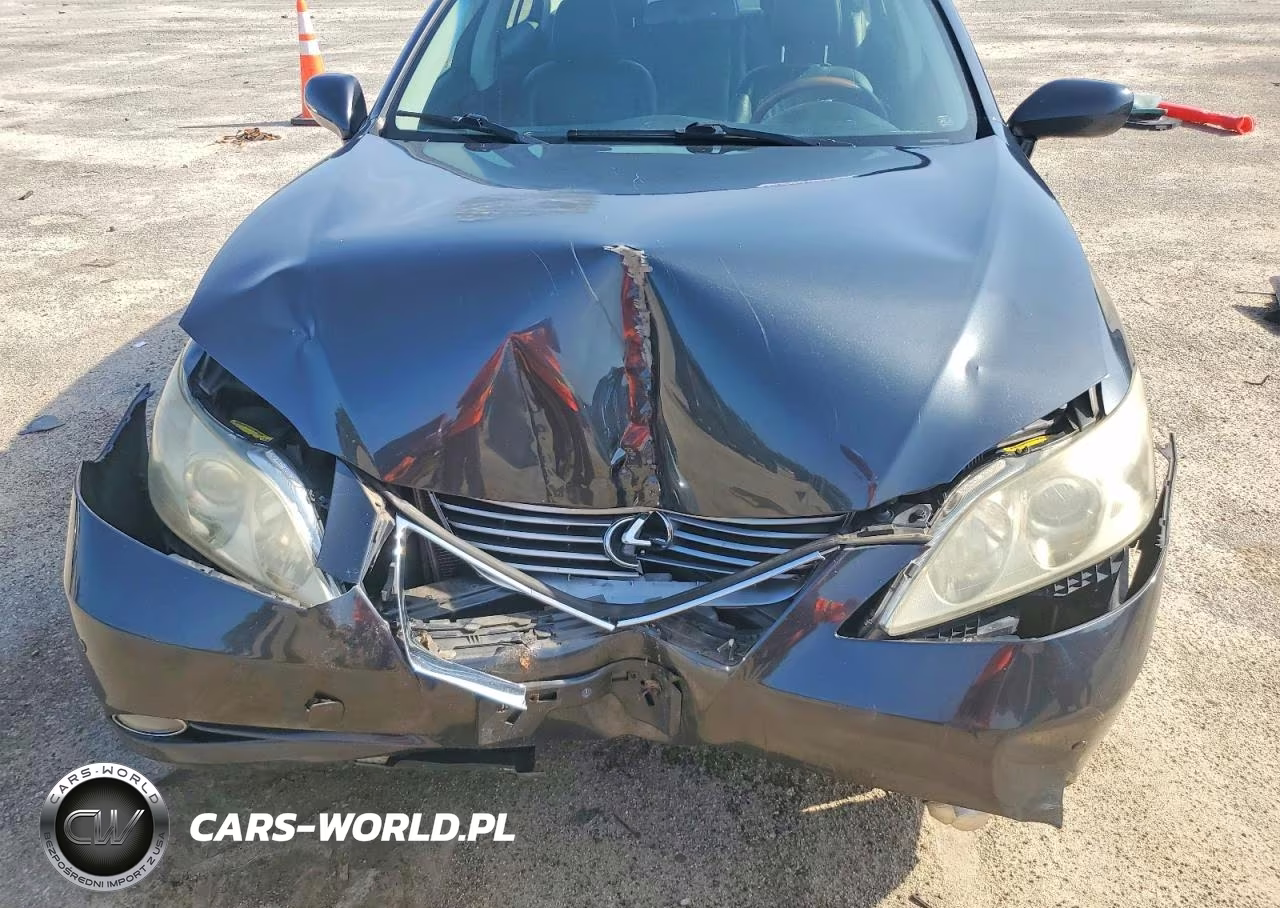2009 Lexus Es 350 VIN:JTHBJ46G992324100 - 11